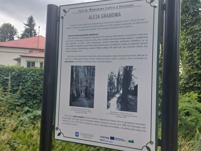 Park im. Szafera w Rzeszowie 