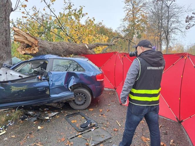 Audi wbiło się w drzewo, 18-latka nie żyje