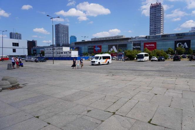 Tak w czasie upałów wygląda centrum Warszawy 