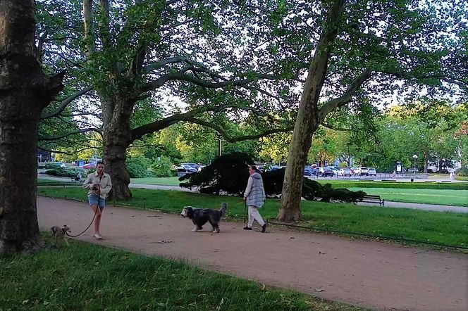 Park Kasprowicza i Jasne Błonia