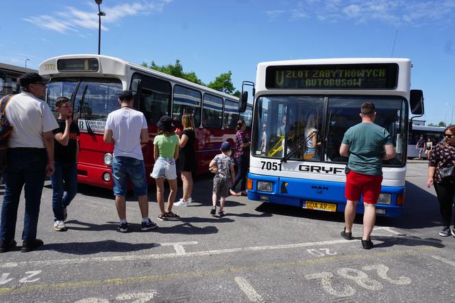 Zlot zabytkowych autobusów 2022 w Bydgoszczy [ZDJĘCIA] 