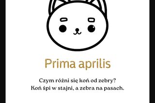 Najgorsze suchary na Prima Aprilis. Rozbawią albo nie. Oto najlepsze czerstwe dowcipy na 1 kwietnia