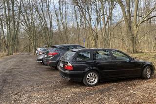 Zmiany w Parku Odrzańskim w Zielonej Górze. Zobacz jak wygląda obecnie