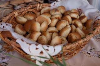 Jeżowskie kapuśniaki z kaszą tatarczaną