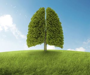 Pora oczyścić płuca - rady nie tylko dla palaczy