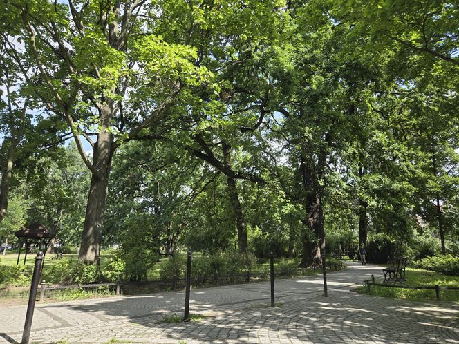 Spacer przez muzyczne serce Bydgoszczy. Park Kochanowskiego zachwyca historią i klimatem