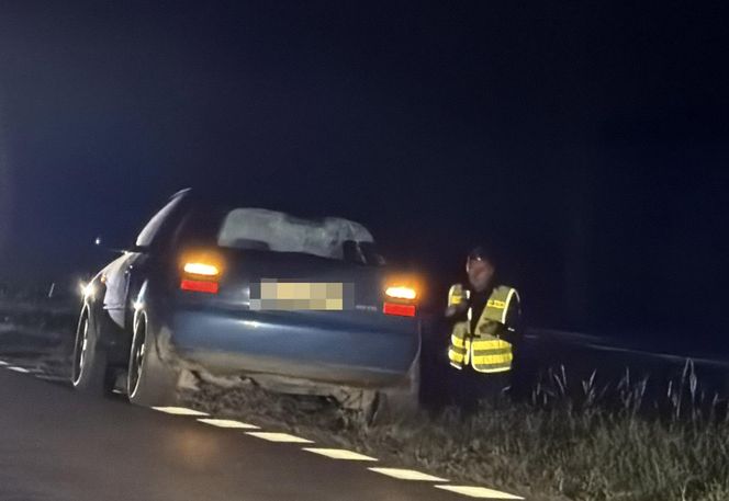 Śmiertelne potrącenie pod Sochaczewem. Kierowca BMW uciekł