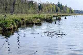 Na Warmii i Mazurach będzie dziewięć nowych rezerwatów przyrody