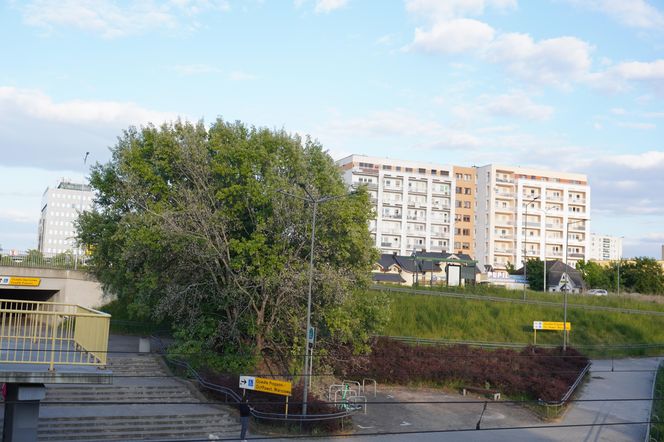 4. Winogrady (os. Zwycięstwa, Pod Lipami)