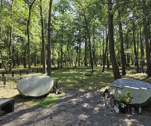 Las pamięci na Junikowie w Poznaniu