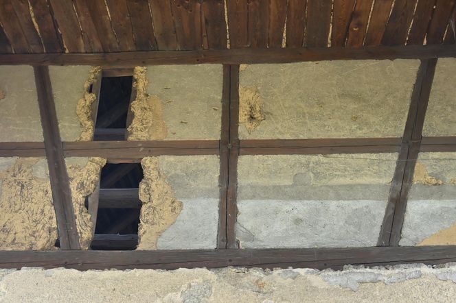 Torhaus - przysłupowy dom bramny z Działoszyna pod Bogatynią