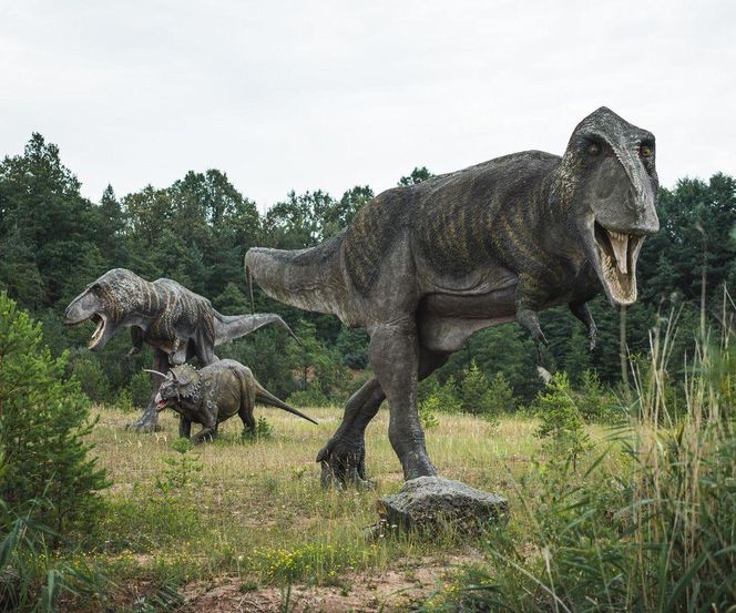 JuraPark w Krasiejowie