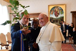 Dywan, whisky i dąb. Prezenty dla Papieża