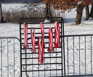 Bieg Zwycięskiego Powstania Wielkopolskiego nad Strzeszynkiem