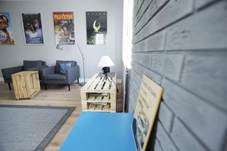 Cegła na ścianie BOSTON Stegu