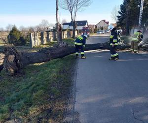 Straż pożarna zachodniopomorskie