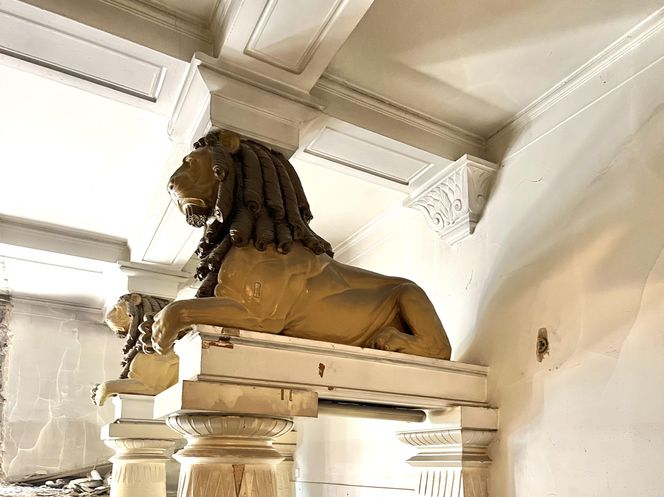 Kamienica przy Matejki 55 w Poznaniu