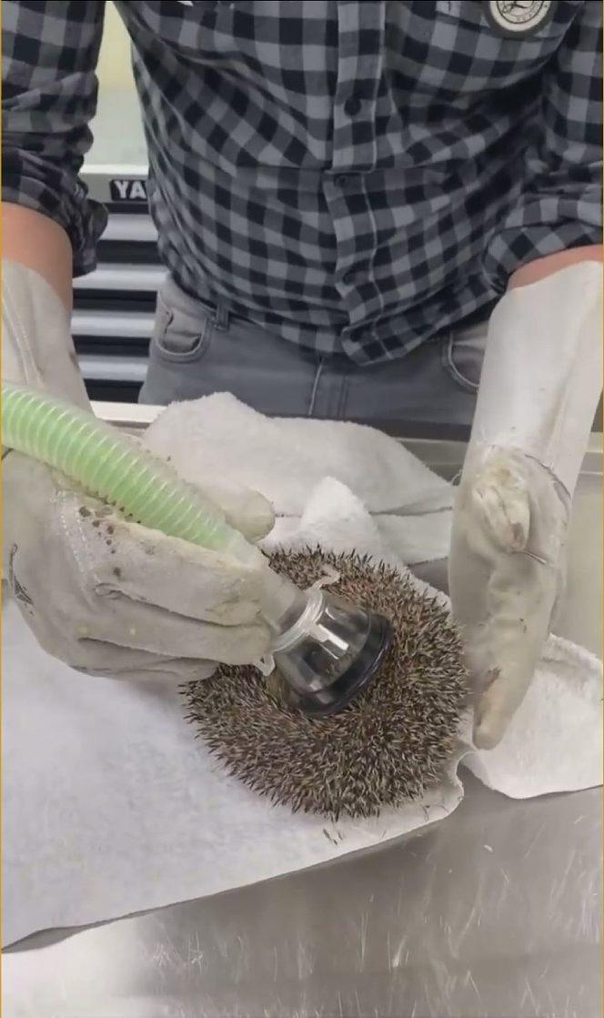 Wściekł się, bo wybudzili go ze snu