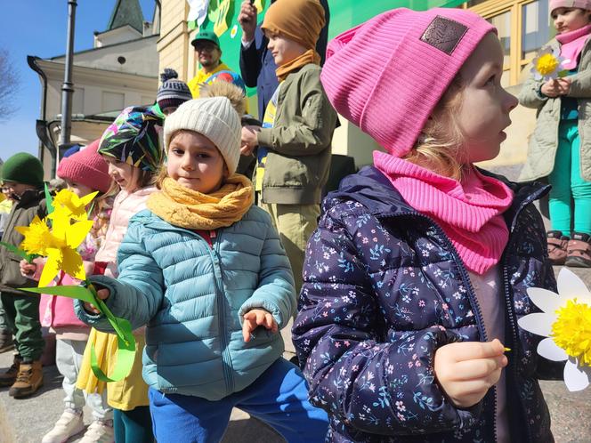 Plac przed ratuszem zakwitł. Przedszkolaki witały wiosnę [GALERIA]