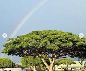 Ten wpis Anity Werner poruszył tysiące osób. Nikt się tego nie spodziewał!