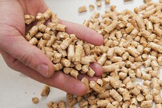 Czy będzie zakaz palenia pelletem w Polsce? Od kiedy? Czy pellet jest ekologiczny? 