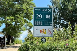 Nowości na sopockich plażach. Tu sprawdzisz czy plaża jest strzeżona. Bezpieczniej też dla dzieci!