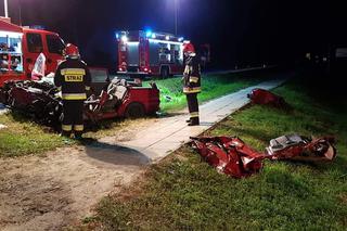 Horror pod Brzeskiem w Małopolsce. 21-latek zginął w wypadku