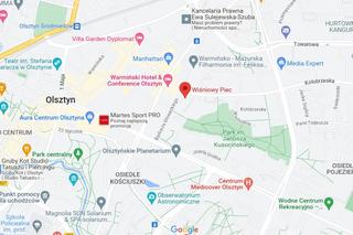 Do restauracji z psem? Te restauracje w Olsztynie są przyjazne zwierzętom [LISTA]