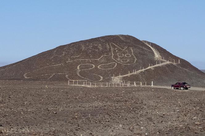 Niezwykłe odkrycie! Gigantyczny rysunek kota na płaskowyżu Nazca w Peru [ZDJĘCIA]