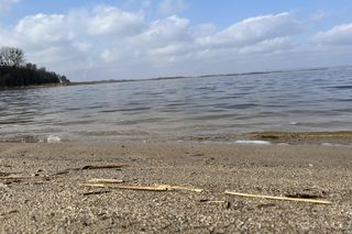 Kąpielisko Dąbie ponownie otwarte. Badania wody wykazały, że można się kąpać