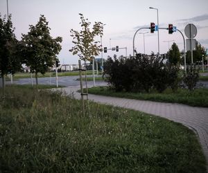 Ulica Antonińska w Lesznie