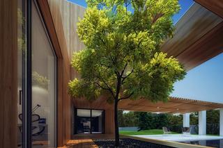 Dom dziurawy, 81.WAW.PL