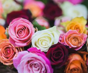 Niepowtarzalne życzenia imieninowe dla Moniki. Pokaż jej, ile dla ciebie znaczy