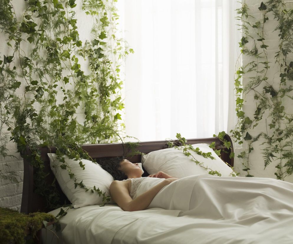 Masz te kwiaty w sypialni? Wynieś je, jeśli nie chcesz mieć kłopotów ze snem 