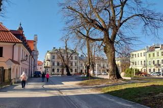 Rynek Wodny w Zamościu