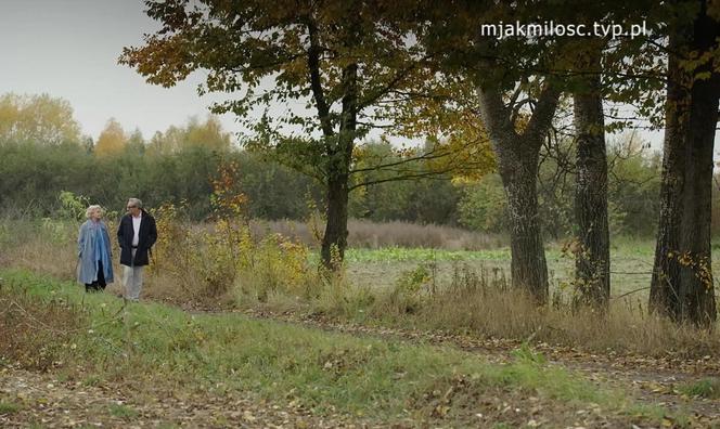 M jak miłość. Marta (Dominika Ostałowska), Jacek Milecki (Robert Gonera)