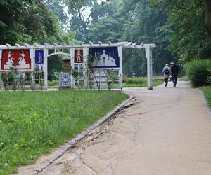 Czerwcowy spacer po Ogrodzie Saskim w Lublinie