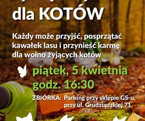 Posprzątali iławski las... dla kotów!