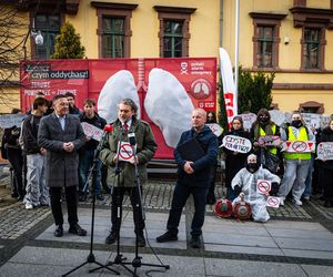 Smogowe płuca trafiły do Nowej Rudy. Zobacz zdjęcia instalacji!