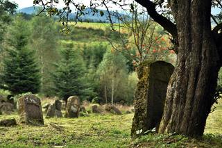 Bieszczadzkie szlaki, które pokonasz z dziecięcym wózkiem