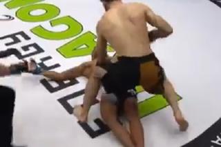 BRUTALNY NOKAUT na gali MMA! Rywal padł na deski jak długi [WIDEO]
