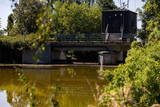 Ponad 70 ton śniętych ryb odłowiono w 12 dni. W jeden dzień padł koszmarny rekord