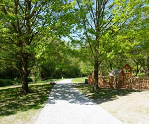 Tak wygląda park w dolinie Ślepiotki w Katowicach