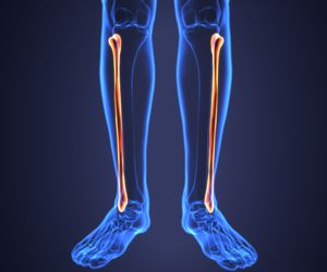 Kość strzałkowa – budowa, funkcje, choroby