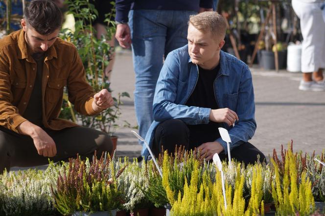 Jesienny Kiermasz Ogrodniczy 2023. Tłumy przy bydgoskim "Torbydzie" [ZDJĘCIA]