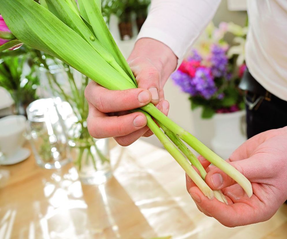 Bukiet z tulipanów krok po kroku