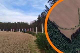 Największa kolekcja muru berlińskiego jest pod Wrocławiem