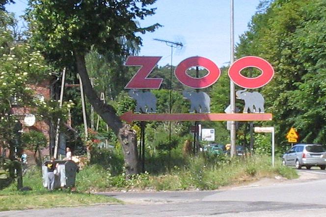 zoo