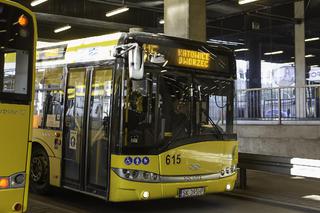 Bezpłatna komunikacja miejska na Śląsku 1 listopada. Będą też dodatkowe kursy autobusów i tramwajów