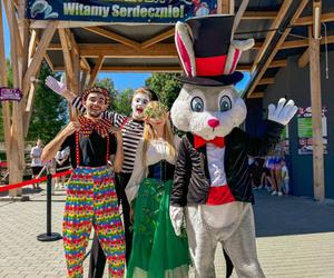 Na Farmie Iluzji odbył się Festiwal Iluzji 2024 [AUDIO]